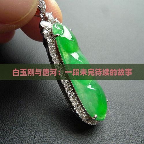 白玉刚与唐河：一段未完待续的故事