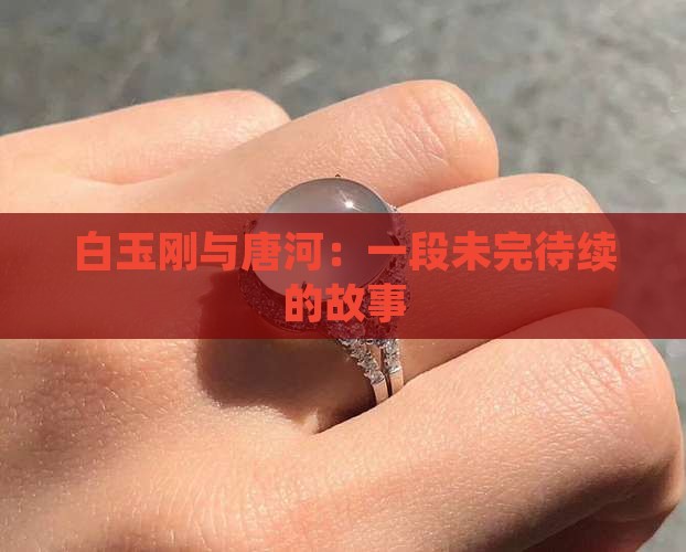 白玉刚与唐河：一段未完待续的故事