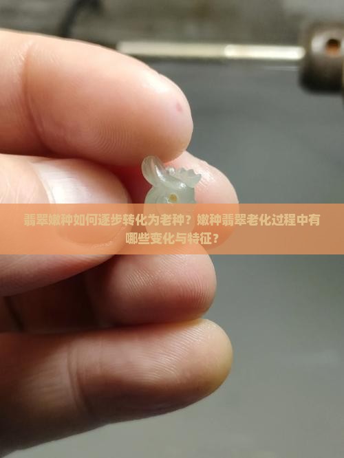 翡翠嫩种如何逐步转化为老种？嫩种翡翠老化过程中有哪些变化与特征？