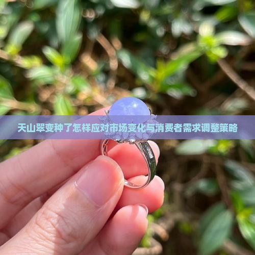 天山翠变种了怎样应对市场变化与消费者需求调整策略