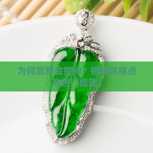 为何翡翠会变种？揭秘其痛点与热门成因！