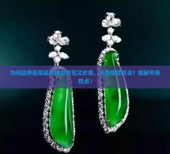 为何这种翡翠品种如此罕见又珍贵，是否值得投资？揭秘市场热点！