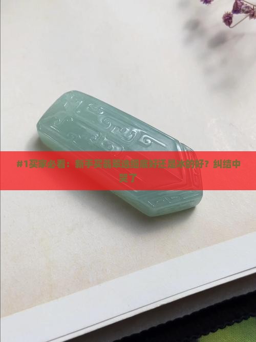 #1买家必看：新手买翡翠选细底好还是冰的好？纠结中哭了