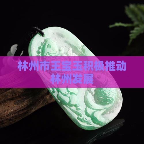 林州市王宝玉积极推动林州发展