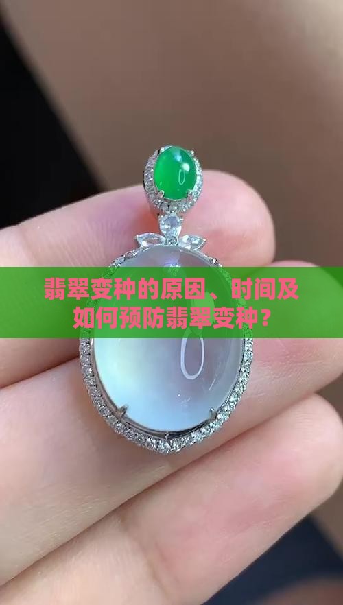 翡翠变种的原因、时间及如何预防翡翠变种？