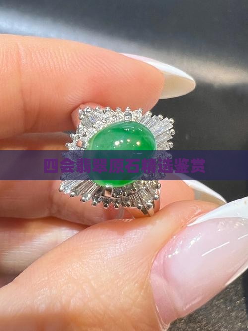 四会翡翠原石精选鉴赏