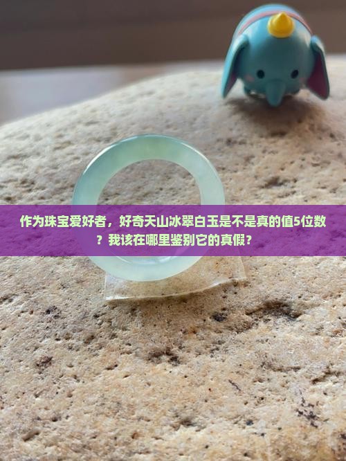 作为珠宝爱好者，好奇天山冰翠白玉是不是真的值5位数？我该在哪里鉴别它的真假？