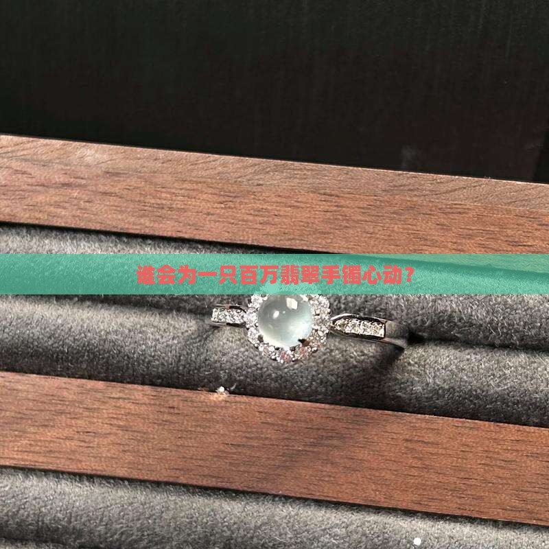 谁会为一只百万翡翠手镯心动？