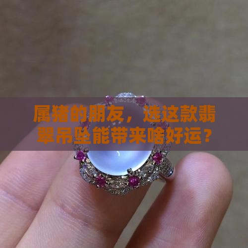 属猪的朋友，选这款翡翠吊坠能带来啥好运？