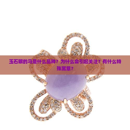 玉石眼的马是什么品种？为什么会引起关注？有什么特殊寓意？
