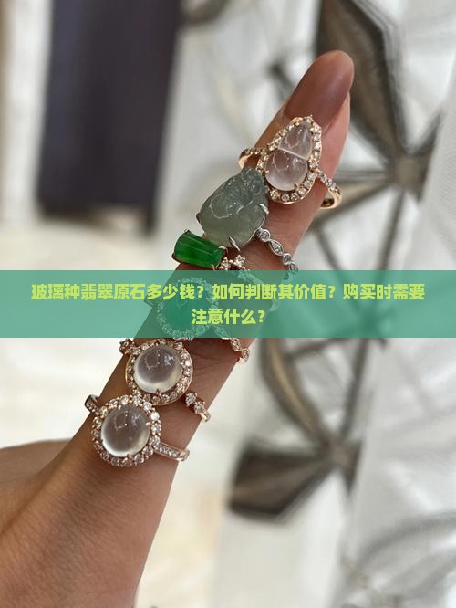 玻璃种翡翠原石多少钱？如何判断其价值？购买时需要注意什么？