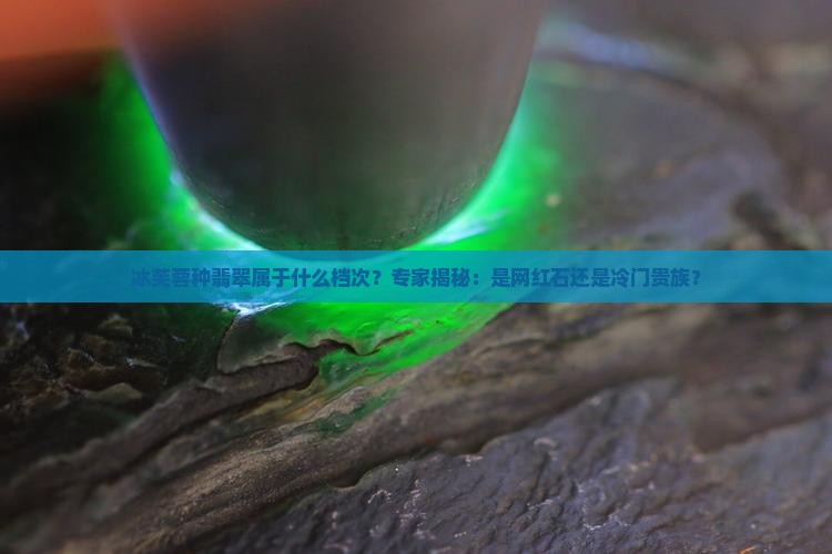 冰芙蓉种翡翠属于什么档次？专家揭秘：是网红石还是冷门贵族？