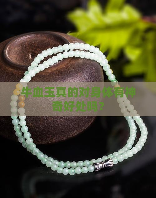牛血玉真的对身体有神奇好处吗？