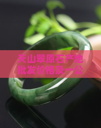 天山翠原石产地批发价格及一公斤多少钱