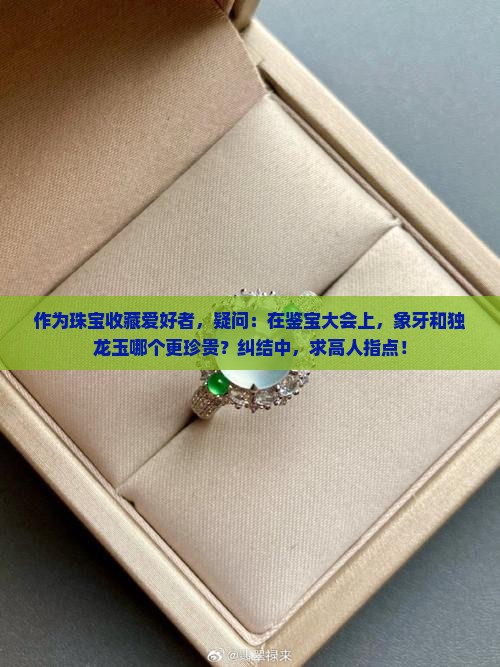 作为珠宝收藏爱好者，疑问：在鉴宝大会上，象牙和独龙玉哪个更珍贵？纠结中，求高人指点！