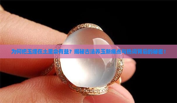 为何把玉埋在土里会有益？揭秘古法养玉新痛点与热词背后的秘密！
