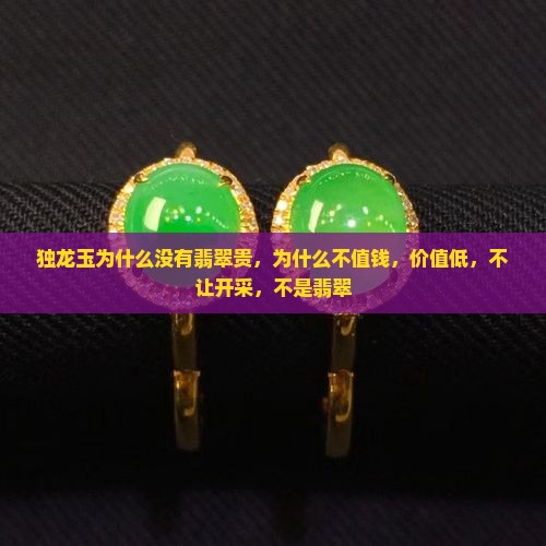 独龙玉为什么没有翡翠贵，为什么不值钱，价值低，不让开采，不是翡翠