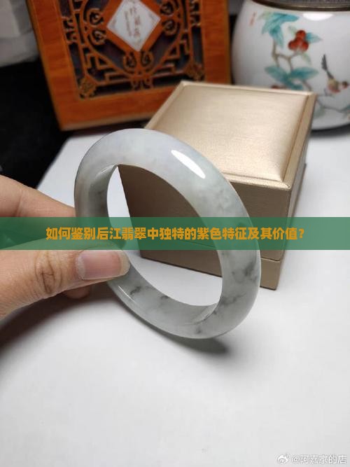 如何鉴别后江翡翠中独特的紫色特征及其价值？