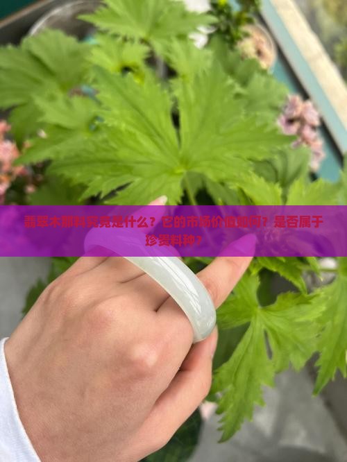 翡翠木那料究竟是什么？它的市场价值如何？是否属于珍贵料种？