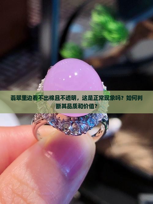 翡翠里边看不出棉且不透明，这是正常现象吗？如何判断其品质和价值？