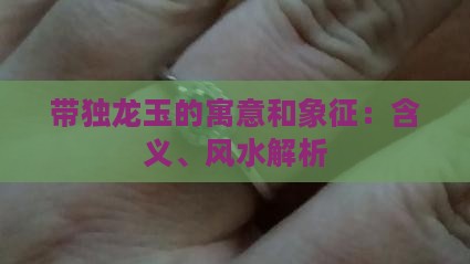 带独龙玉的寓意和象征：含义、风水解析