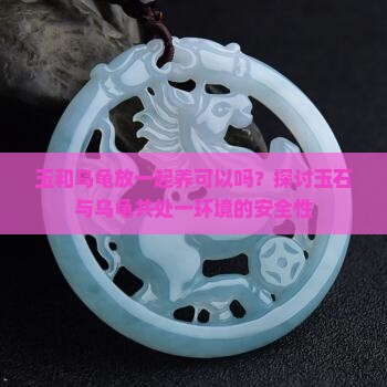 玉和乌龟放一起养可以吗？探讨玉石与乌龟共处一环境的安全性