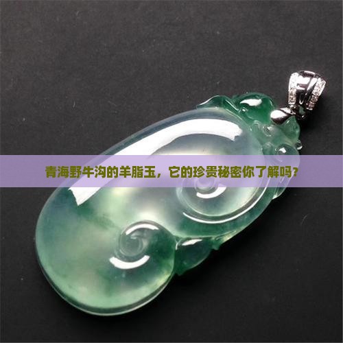 青海野牛沟的羊脂玉，它的珍贵秘密你了解吗？