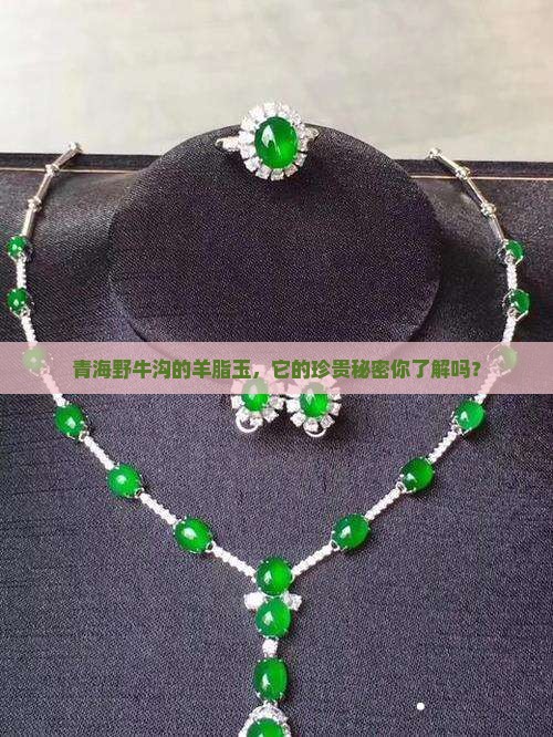 青海野牛沟的羊脂玉，它的珍贵秘密你了解吗？