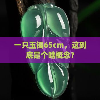 一只玉镯65cm，这到底是个啥概念？