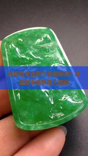 翡翠和黄玉那个更值得买？珠宝助手透明度大揭秘