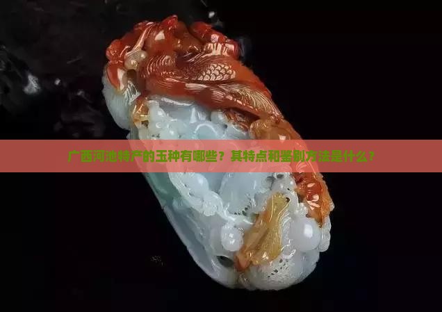 广西河池特产的玉种有哪些？其特点和鉴别方法是什么？