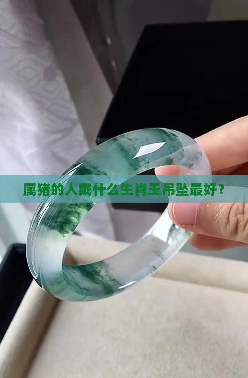 属猪的人戴什么生肖玉吊坠最好？