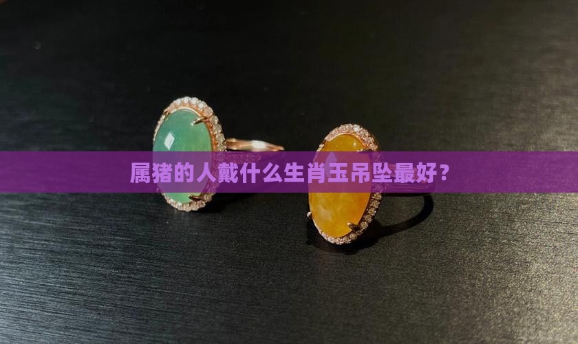 属猪的人戴什么生肖玉吊坠最好？