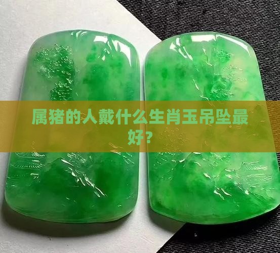 属猪的人戴什么生肖玉吊坠最好？