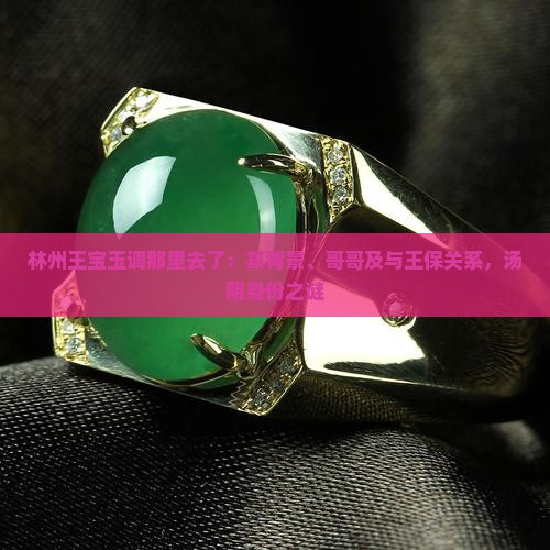 林州王宝玉调那里去了：其背景、哥哥及与王保关系，汤阴身份之谜