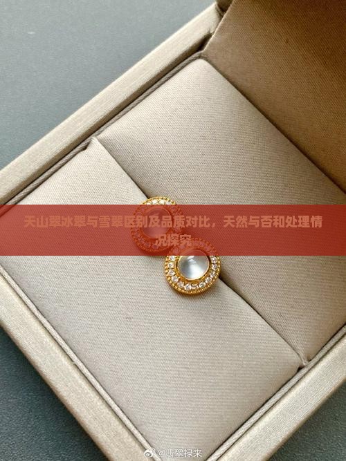 天山翠冰翠与雪翠区别及品质对比，天然与否和处理情况探究