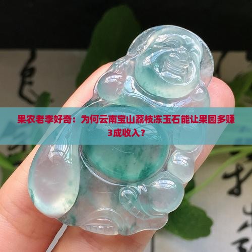 果农老李好奇：为何云南宝山荔枝冻玉石能让果园多赚3成收入？