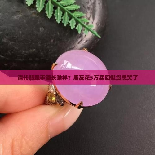 清代翡翠手镯长啥样？朋友花5万买回假货急哭了