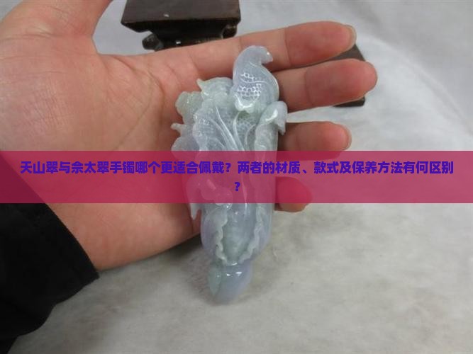 天山翠与佘太翠手镯哪个更适合佩戴？两者的材质、款式及保养方法有何区别？