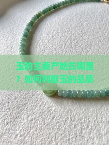玉的主要产地在哪里？如何判断玉的品质与价值？