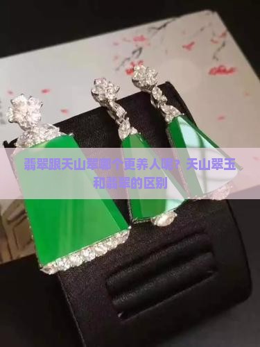 翡翠跟天山翠哪个更养人呢？天山翠玉和翡翠的区别