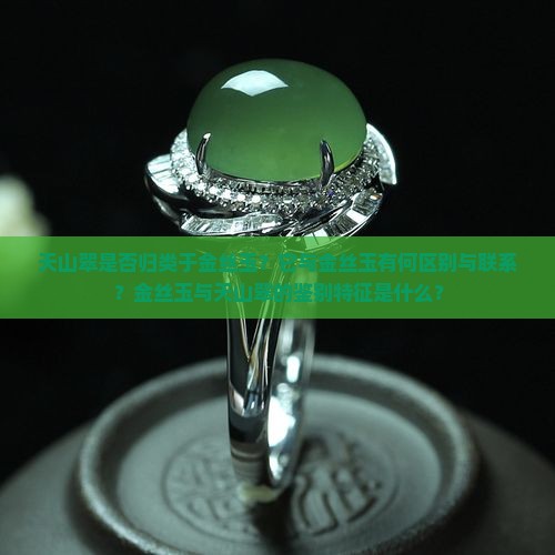 天山翠是否归类于金丝玉？它与金丝玉有何区别与联系？金丝玉与天山翠的鉴别特征是什么？