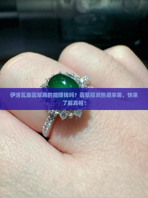 伊洛瓦底翡翠真的能赚钱吗？翡翠投资热潮来袭，快来了解真相！