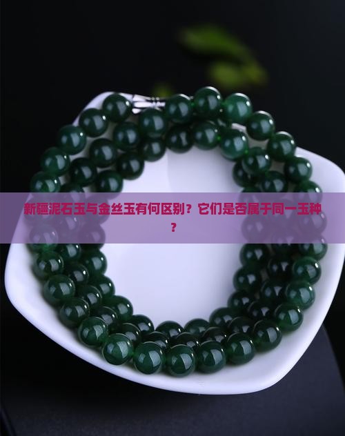 新疆泥石玉与金丝玉有何区别？它们是否属于同一玉种？