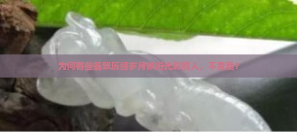 为何有些翡翠历经岁月依旧光彩照人，不变质？
