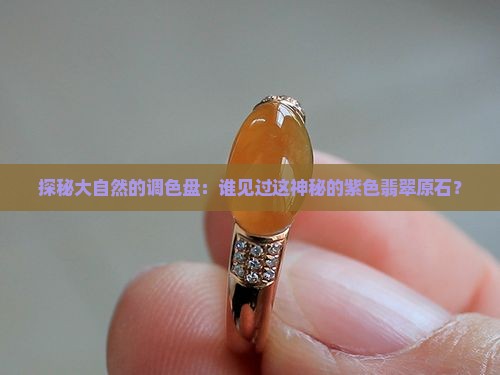 探秘大自然的调色盘：谁见过这神秘的紫色翡翠原石？