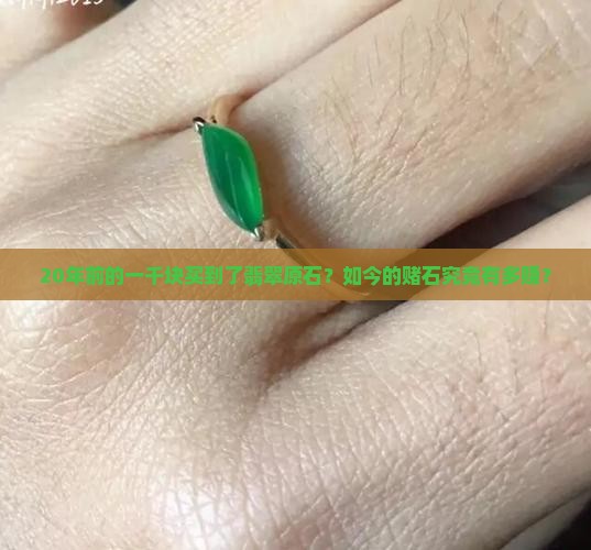 20年前的一千块买到了翡翠原石？如今的赌石究竟有多赚？