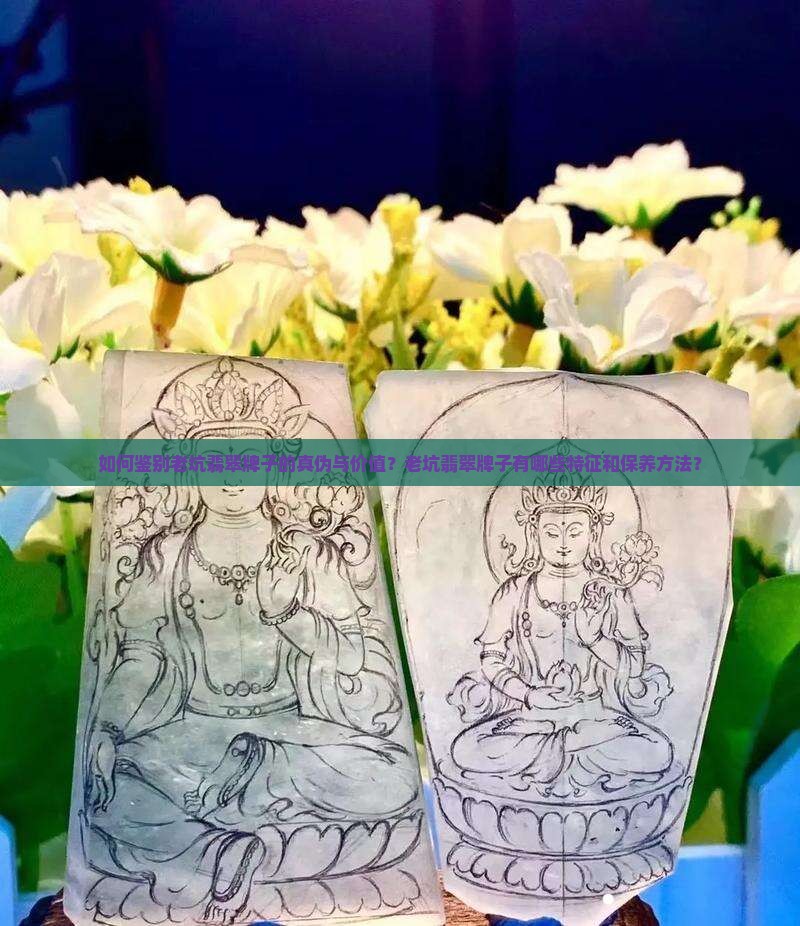 如何鉴别老坑翡翠牌子的真伪与价值？老坑翡翠牌子有哪些特征和保养方法？