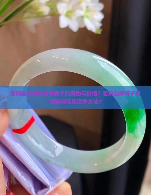 如何鉴别老坑翡翠牌子的真伪与价值？老坑翡翠牌子有哪些特征和保养方法？