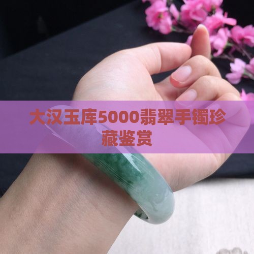 大汉玉库5000翡翠手镯珍藏鉴赏